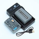 DSTE NP-FP50 Replacement Battery or Charger for Sony DCR-HC30 40 43E 65 85 94E 96 DCR-SR30 60E 70E 80E as NP-FP30 NP-FP60 NP-FP70 NP-FP90 NP-FP51 NP-FP71 NP-FP91