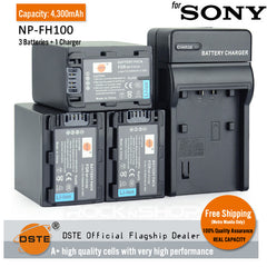 DSTE NP-FH100 Replacement Battery and Charger for Sony SR42E 45E 46E 60 65E 82E DVD105E 106E 108 109E 202E
