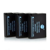 DSTE DMW-BLD10 BLD10E 1,600mAh Battery and Charger for Panasonic GX1 GF2 G3