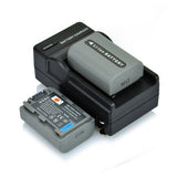 DSTE NP-FP50 Replacement Battery or Charger for Sony DCR-HC30 40 43E 65 85 94E 96 DCR-SR30 60E 70E 80E as NP-FP30 NP-FP60 NP-FP70 NP-FP90 NP-FP51 NP-FP71 NP-FP91