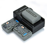 DSTE NP-FP50 Replacement Battery or Charger for Sony DCR-HC30 40 43E 65 85 94E 96 DCR-SR30 60E 70E 80E as NP-FP30 NP-FP60 NP-FP70 NP-FP90 NP-FP51 NP-FP71 NP-FP91
