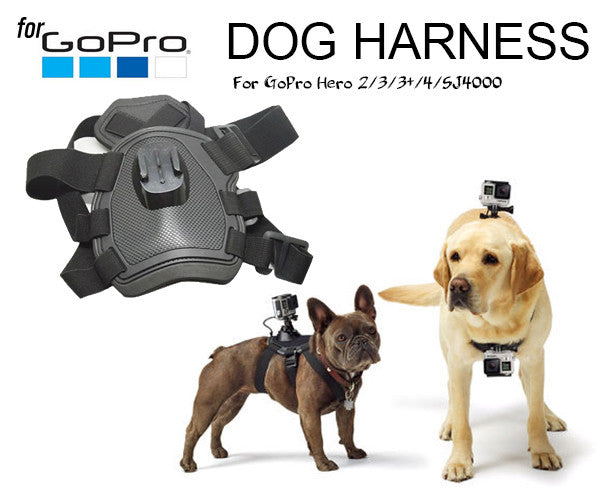 Fetch Dog Harness Chest Strap Belt Mount for GoPro Hero