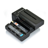 DSTE NP-F550 F570 Replacement Battery or Charger for Sony TRV81