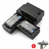 DSTE VW-VBD29 Replacement Battery or Charger For Panasonic PX298MC MDH2GK