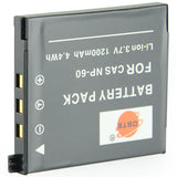 DSTE NP-60 Replacement Battery or Charger for Casio Exilim EX-S10 EX-S10BE EX-Z80 EX-Z9SR Exilim Zoom EX-Z19